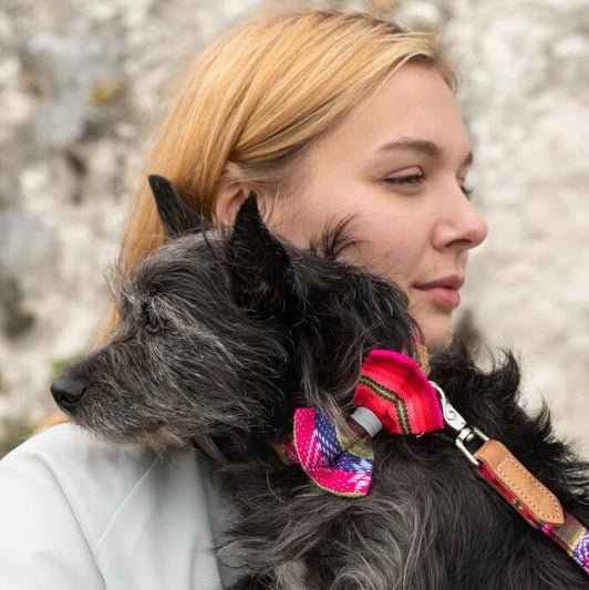Hiro & Wolf Inca Pink Bow Tie