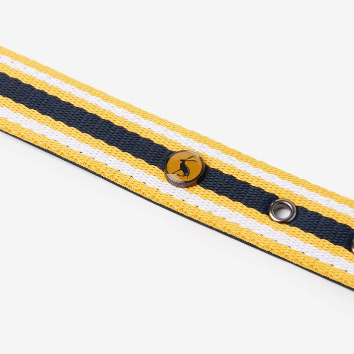 Joules Coastal Yellow & Navy Dog Collar