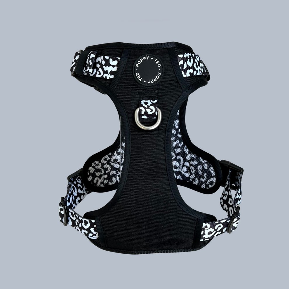 Luxe Collection | 3-Click Tough Harness - Black or Blue - The Cambridge Dog Co.