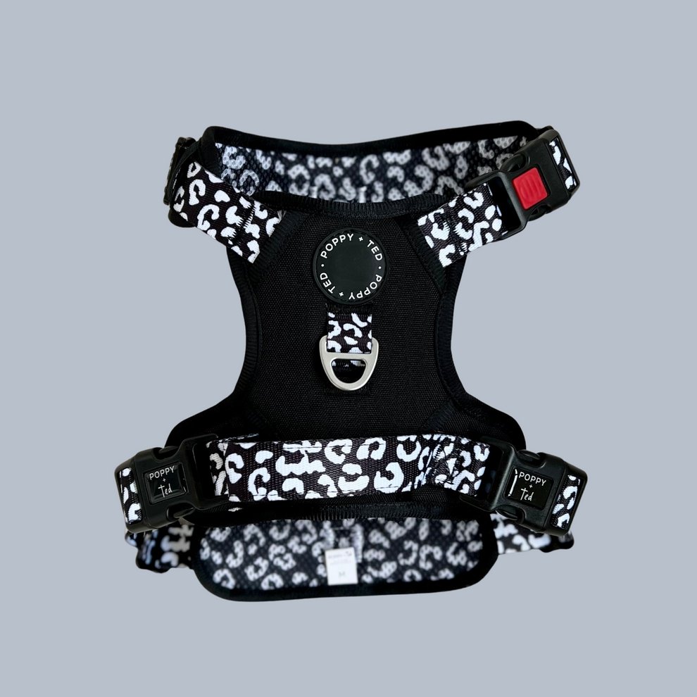 Luxe Collection | 3-Click Tough Harness - Black or Blue - The Cambridge Dog Co.