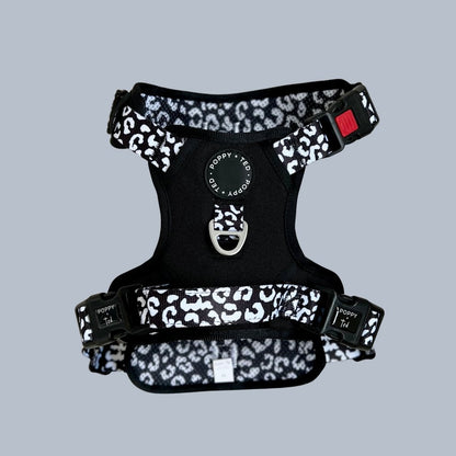 Luxe Collection | 3-Click Tough Harness - Black or Blue - The Cambridge Dog Co.