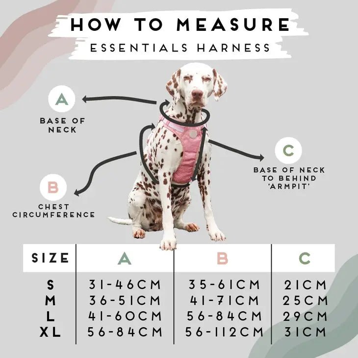 Luxe Collection | 3-Click Tough Harness - Black or Blue
