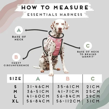 Luxe Collection | 3-Click Tough Harness - Black or Blue