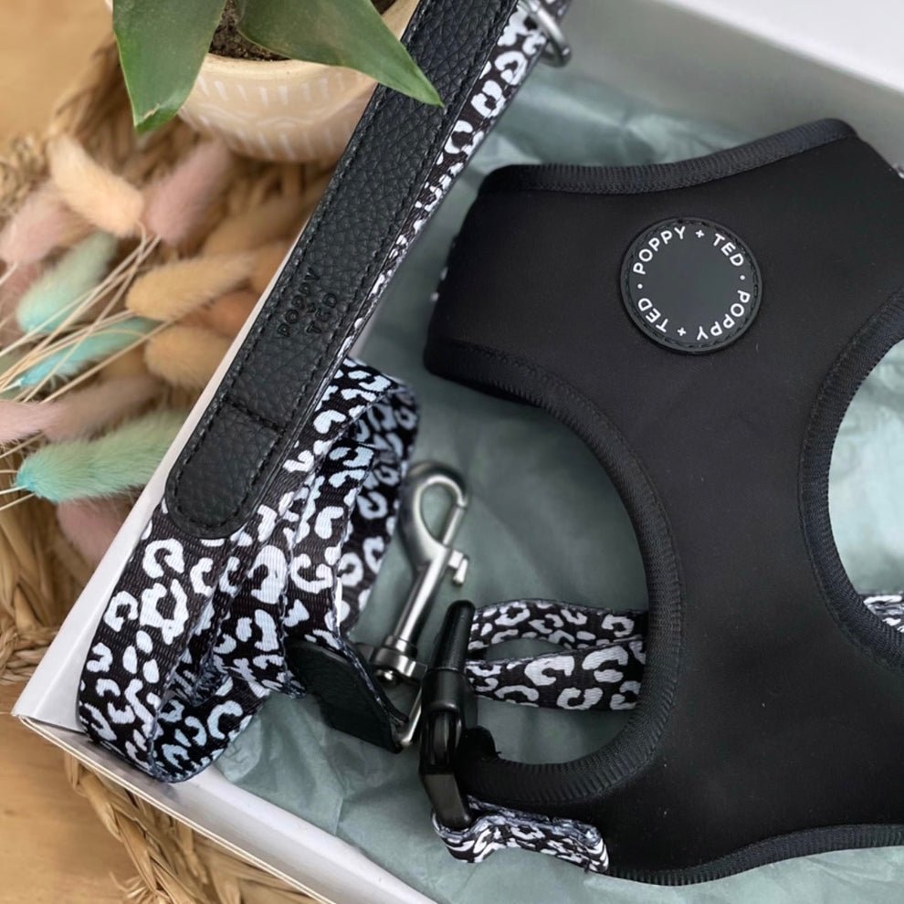 Luxe Collection | Dog Lead - Black or Blue - The Cambridge Dog Co.