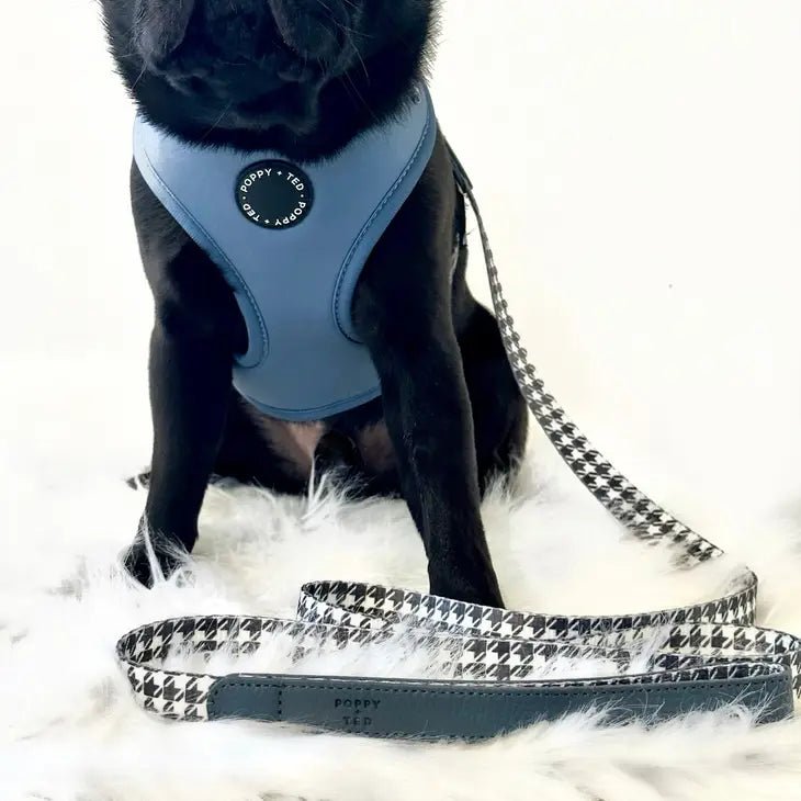 Luxe Collection | Dog Lead - Black or Blue