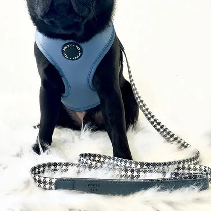 Luxe Collection | Dog Lead - Black or Blue