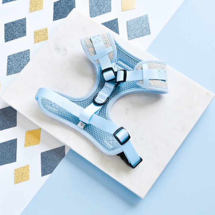 LUXE Embroidered Glitter Adjustable Neck Harness - Pup Charming Blue - The Cambridge Dog Co.