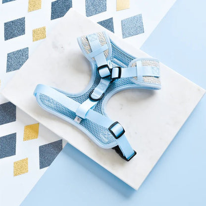 LUXE Embroidered Glitter Adjustable Neck Harness - Pup Charming Blue - The Cambridge Dog Co.