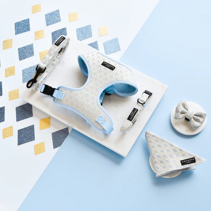 LUXE Embroidered Glitter Adjustable Neck Harness - Pup Charming Blue - The Cambridge Dog Co.
