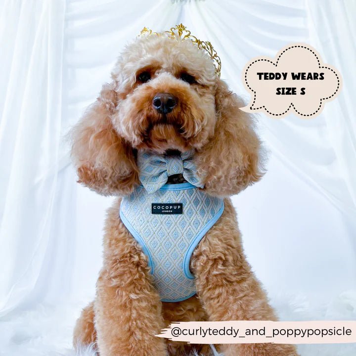 LUXE Embroidered Glitter Adjustable Neck Harness - Pup Charming Blue - The Cambridge Dog Co.