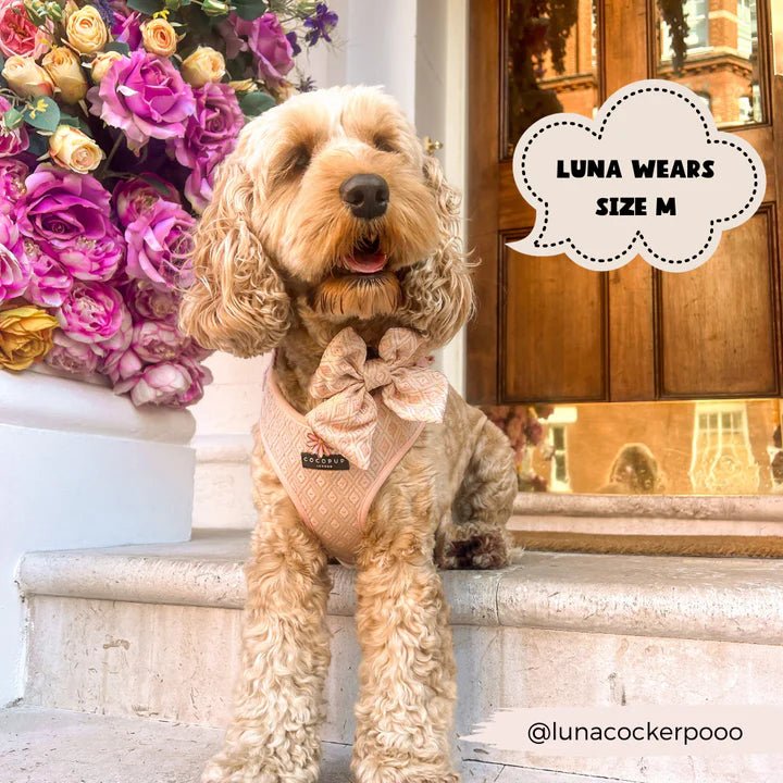 LUXE Embroidered Glitter Adjustable Neck Harness - Puperella Pink - The Cambridge Dog Co.