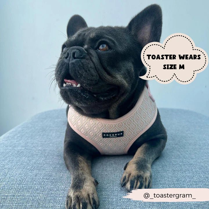 LUXE Embroidered Glitter Adjustable Neck Harness - Puperella Pink - The Cambridge Dog Co.