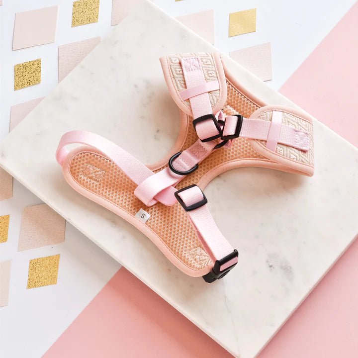 LUXE Embroidered Glitter Adjustable Neck Harness - Puperella Pink - The Cambridge Dog Co.