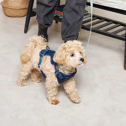 No-Pull Dog Harness - Midnight (LARGE)