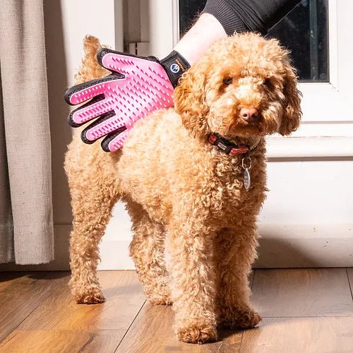 PET GROOMING GLOVES - The Cambridge Dog Co.