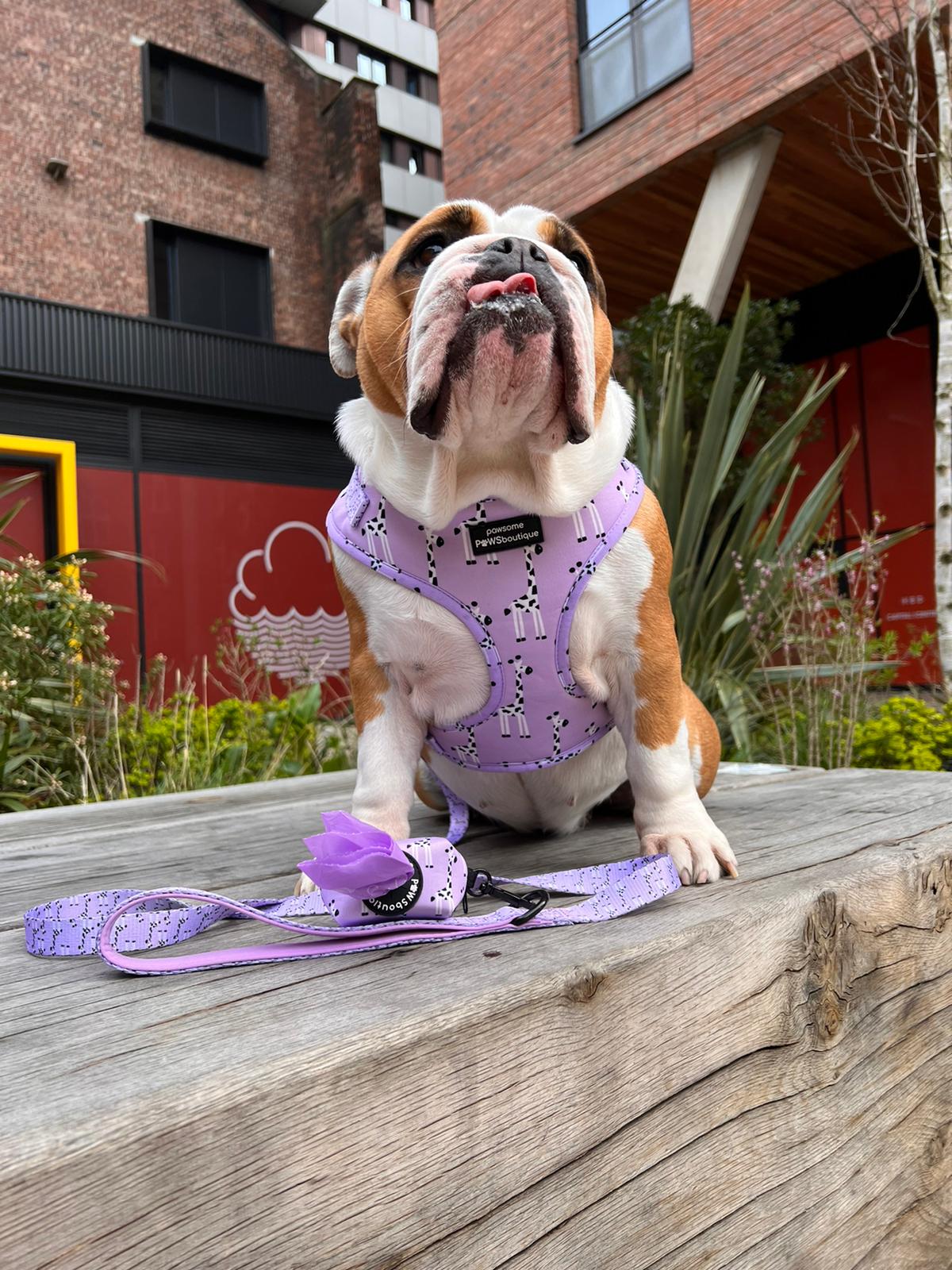 Poo Bag Holder - Georgina The Giraffe - The Cambridge Dog Co.