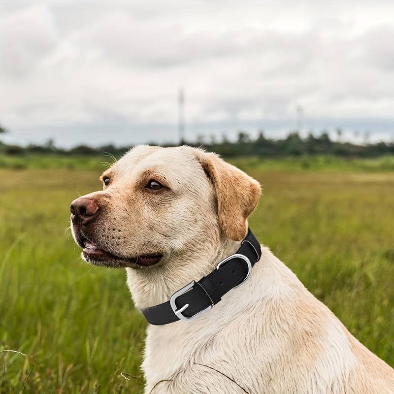 Soft Leather Collar - Green