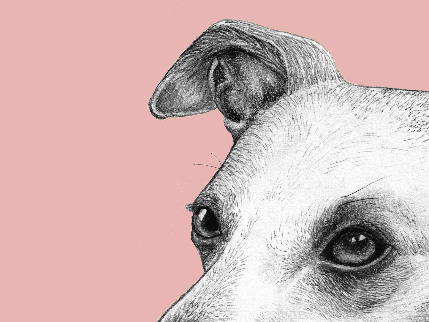 Whippet Notebook